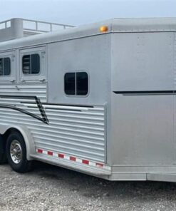 1999 Elite Custom 3 Horse Trailer
