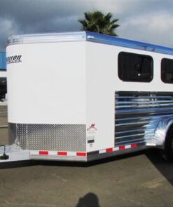 2019 Cimarron Showstar 6 pen