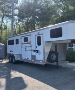 2019 Shadow 2+1 Gooseneck